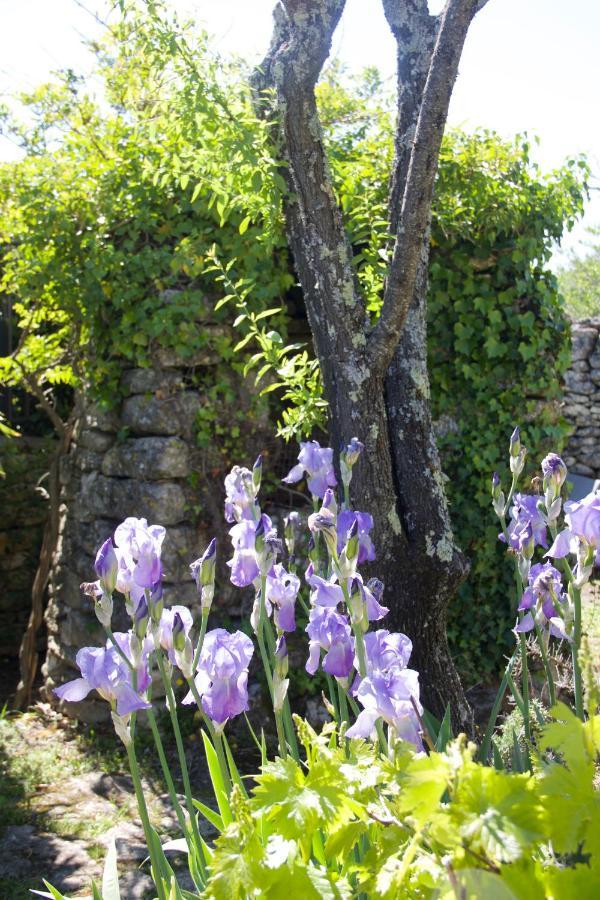 Mas De La Beaume Hotel Gordes Exterior photo